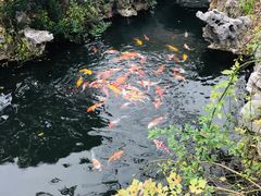 -杭州西湖柳莺里酒店