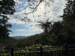 -呀诺达热带雨林
