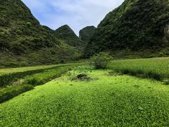 -靖西鹅泉风景区