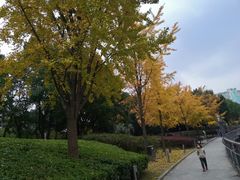 -苏州河梦清园环保主题公园