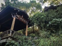 -中国茶叶博物馆(双峰馆区)