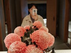 -庆春朴门