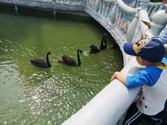 -蓬莱欧乐堡梦幻世界