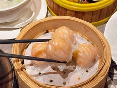 -佛山顺德香云纱园林酒店(清晖园店)