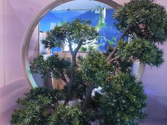 -马家斑.鲜鱼火锅(松湖万科店)