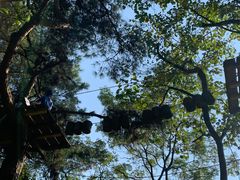 -芦仙山景区-飞越丛林探险乐园