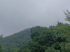 -宝岩生态观光园