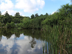 -北京师范大学(珠海校区)