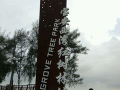 -宝安西湾红树林湿地公园