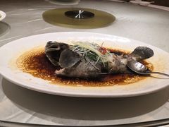 清蒸鱼-锦粤宫·精致粤菜(深圳北站店)