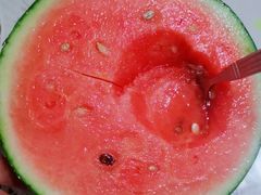 -庞各庄翠芳园西瓜蔬菜基地采摘园