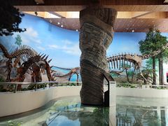 -延庆地质公园博物馆