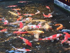 -广州白天鹅宾馆