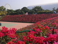 -观澜湖生态运动公社