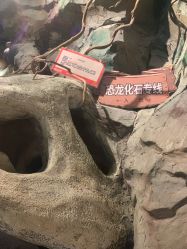 -探洞工场(丰科万达旗舰店)