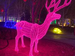 -南宫五洲植物乐园