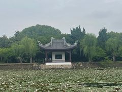 -无锡蠡湖国家湿地公园-蠡园