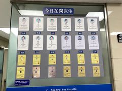 -申普宠物医院·心脏介入·心血管微创(总院)