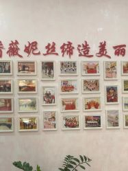 -香薇妮丝·定制减肥·身材管理