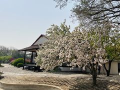 -北京世界公园