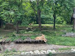 -常州淹城野生动物世界