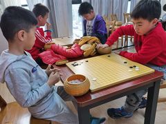 -智韵素养黎明练字(莘庄校区)