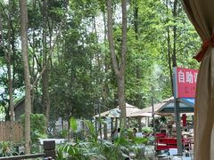 -二荆条·蜀鲜汇城市森林火锅