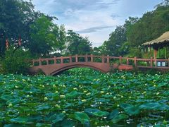 -广州莲花山旅游区