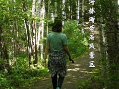 -汤旺河林海奇石景区