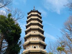 -灵谷景区