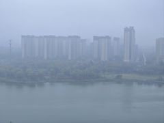 -鲁南仔·滕州炒鸡(经三路店)