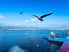 -海埂大坝