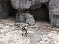 -南昌动物园
