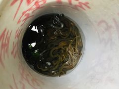 -清平路水族市场