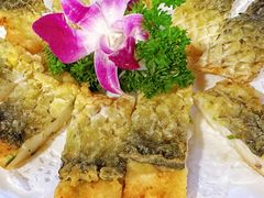 -美未居·老字号·地道顺德菜·桑拿鸡·鱼生(容桂店)