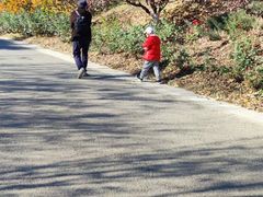 -北京鹫峰国家森林公园