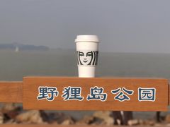-野狸岛