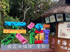 -亚龙湾热带天堂森林公园