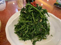 清香枸杞苗-国强手抓(北京西路店)