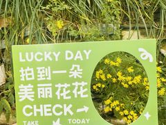 -北京上方山国家森林公园