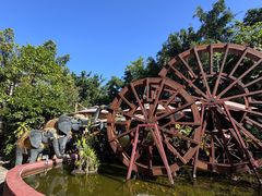 -品德宏·孔雀宴的发源地(金塔园店)