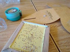 蔺大妈松花糕-蔺大妈松花糕