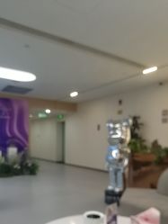 -上海伊莱美医疗美容医院