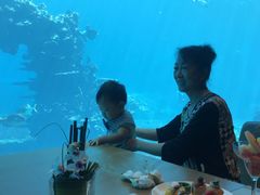-海棠湾洲际-涛·海底餐厅·美人鱼·自助餐·海底隧道