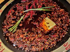 -一斗火锅·招财羊毛肚(泰吉滨江店)