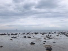 -漳州滨海火山岛自然生态风景区