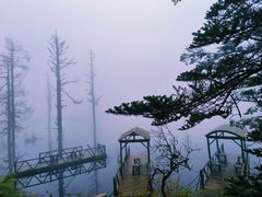 -瓦屋山景区