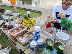 -春花秋色城市公园