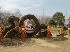 -径山花海