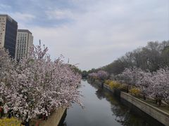 -元大都城垣遗址公园